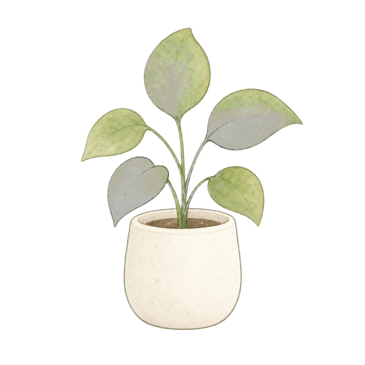 角落绿植装饰